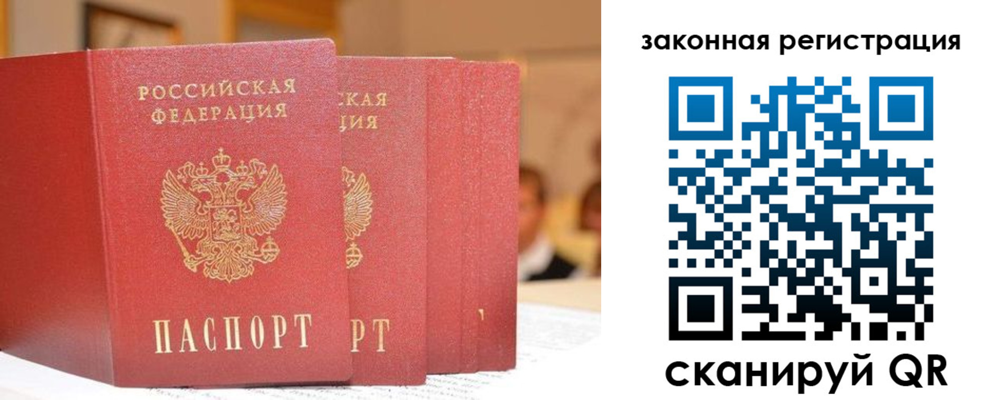 прописка поиск в Заинске